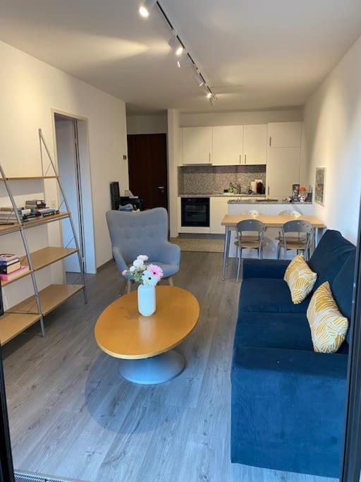 Ascona: Residenza Sabrina,App 2.5 Locali E Piscinaアパートメント エクステリア 写真