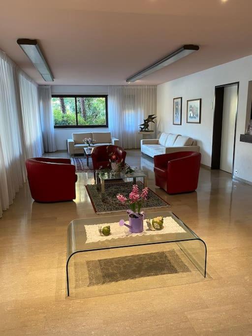 Ascona: Residenza Sabrina,App 2.5 Locali E Piscinaアパートメント エクステリア 写真